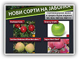 Levidia leaflet