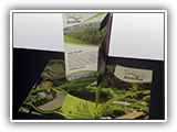 Levidia landscaping