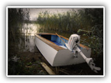 Swamp boat