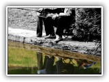 Fishermans world