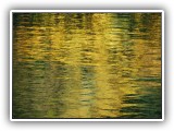 Golden reflection